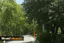 محوطه اردوگاه