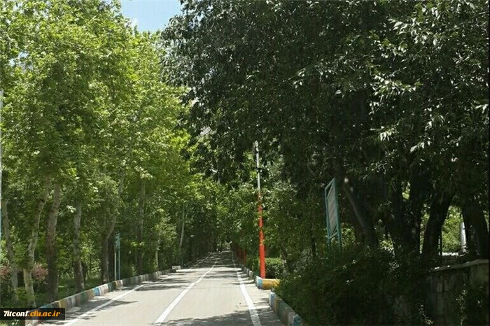 محوطه اردوگاه